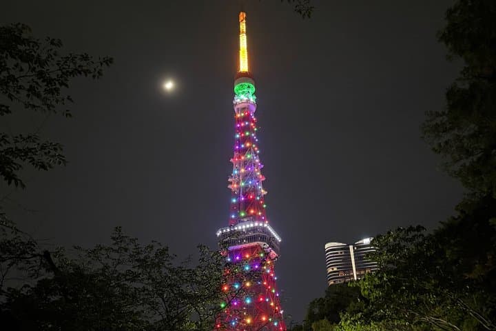 Tokyo Highlights Private Tour (Car Included) with English Guide — photo 13