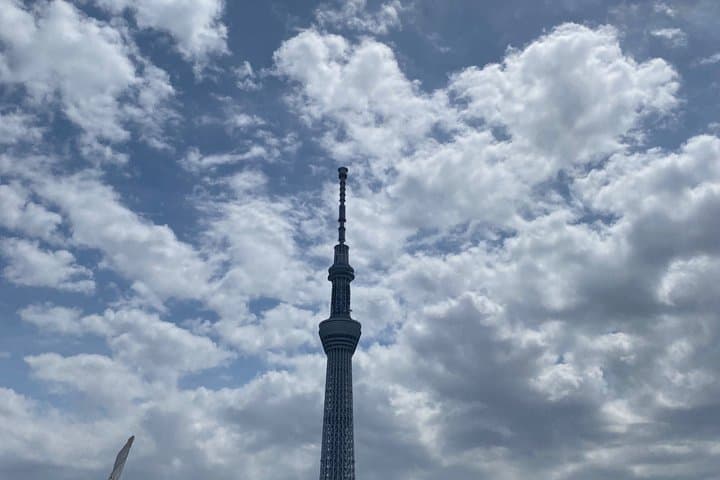 Tokyo Highlights Private Tour (Car Included) with English Guide — photo 15
