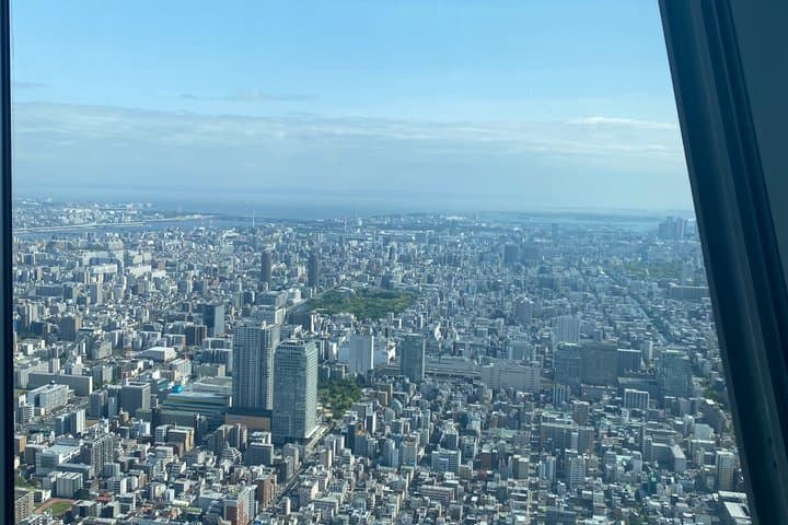 Tokyo Highlights Private Tour (Car Included) with English Guide — photo 16