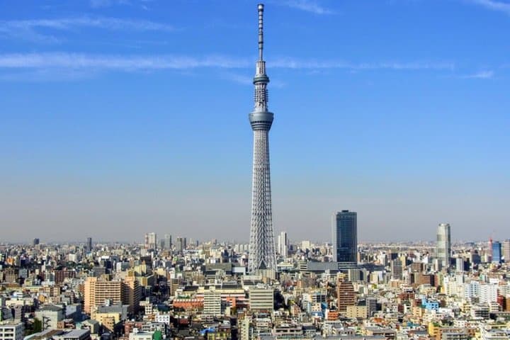 Tokyo Highlights Private Tour (Car Included) with English Guide — photo 2