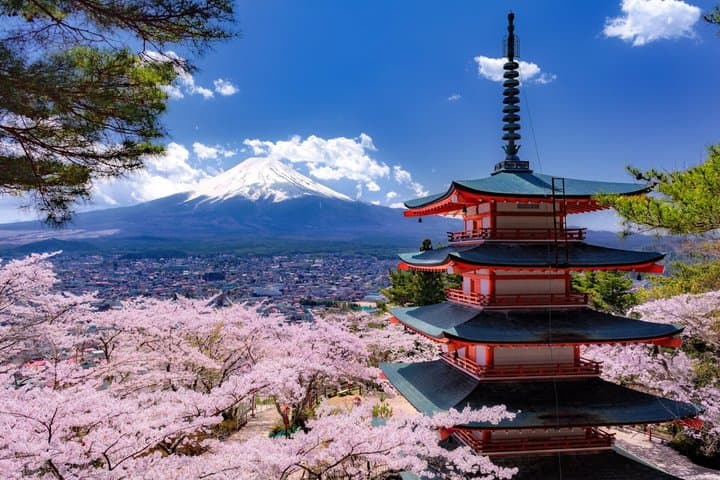 Mt. Fuji and Lake Kawaguchiko Private Full Day Tour — photo 3