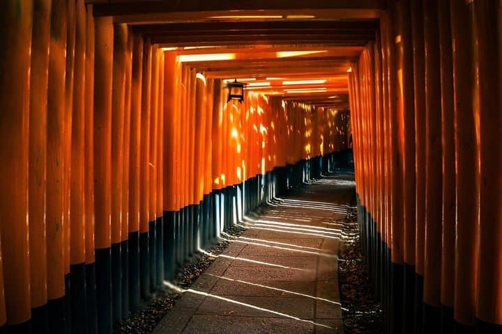 Kyoto and Nara Private Day Tour — photo 4