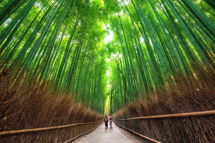 Kyoto and Nara Private Day Tour — photo 6