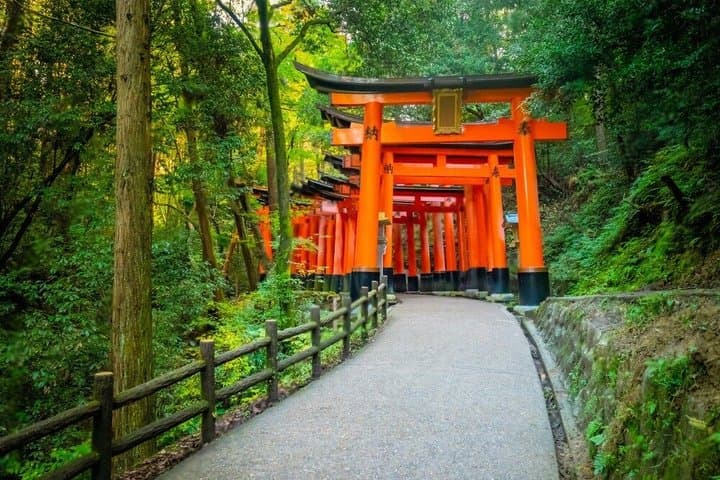 Kyoto and Nara Private Day Tour — photo 7
