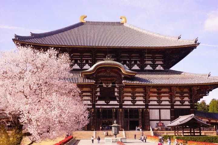 Kyoto and Nara Private Day Tour — photo 10