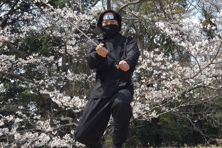 Ninja Explores Old Samurai Residences in Sakura — photo 2