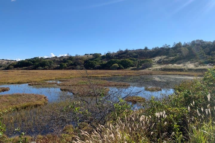 Private Guided Kirigamine Tour in Nagano: Marsh Walk & Lunch — photo 12