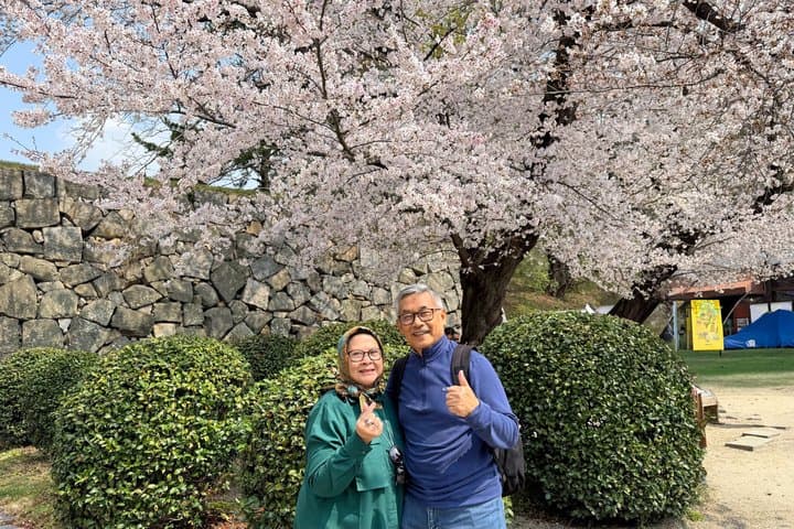 Nagoya Sakura Tour — photo 4