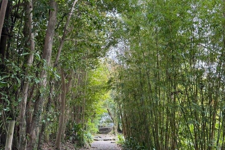 Hidden Gems of Kagoshima: Small-Group Zen Walking Tour — photo 3