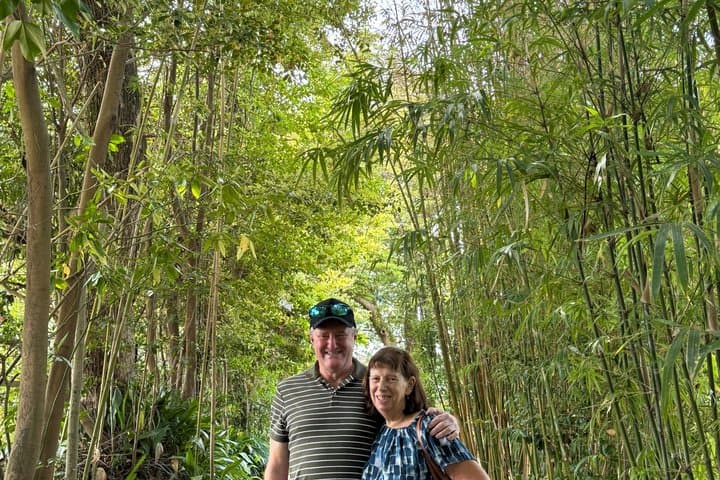 Hidden Gems of Kagoshima: Small-Group Zen Walking Tour