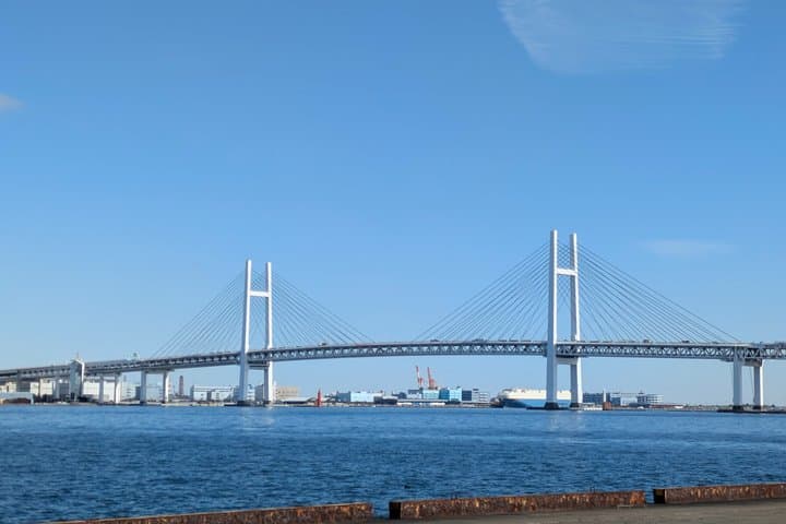 Yokohama City Highlights Tour — photo 5
