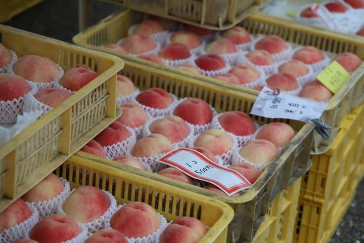 Takayama Breakfast Discovery Walk Food Culture and History Tour — photo 7