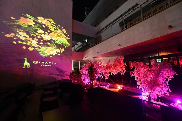 Osaka Dotonbori: GIRAFFE Nightclub Admission Ticket (For Foreign) — photo 3