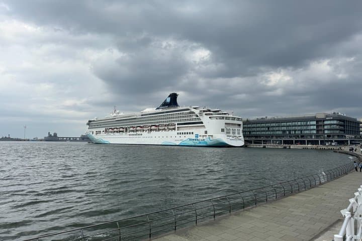 Accessible Yokohama Port Transfer with English-speaking Driver — photo 7