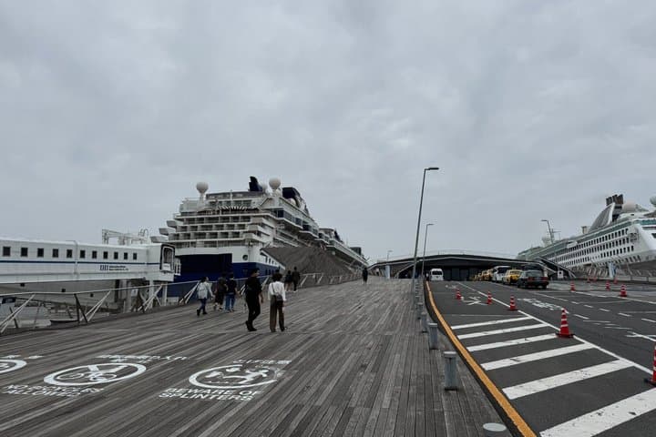 Accessible Yokohama Port Transfer with English-speaking Driver — photo 9