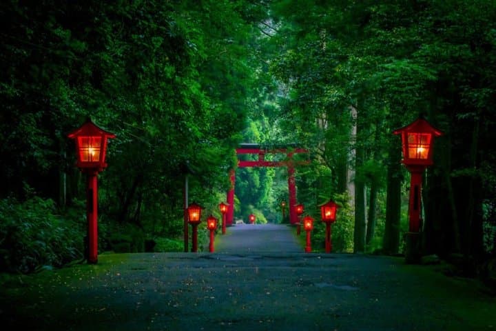 Private Mt Fuji or Hakone Day Trip from Tokyo