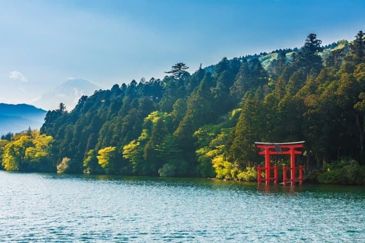 Private Mt Fuji or Hakone Day Trip from Tokyo — photo 3