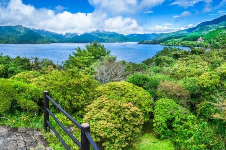 Private Mt Fuji or Hakone Day Trip from Tokyo — photo 11