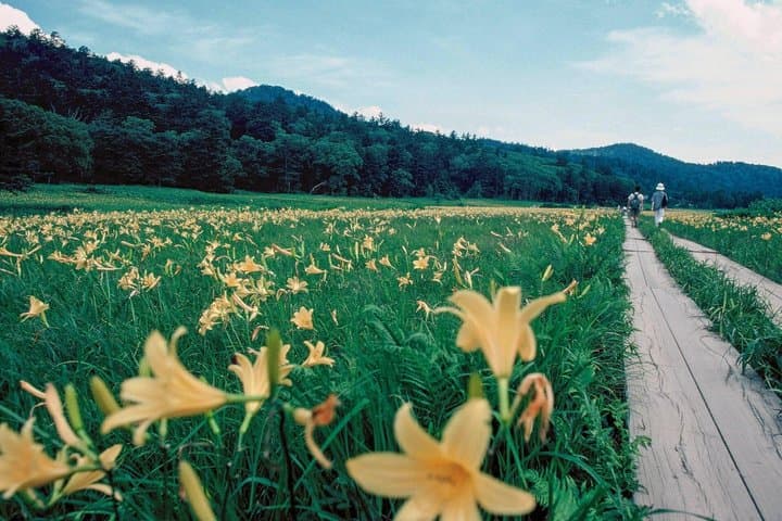 From Tokyo Day Trip Hiking Adventure in Oze National Park — photo 9