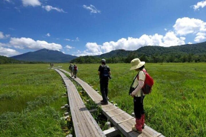 From Tokyo Day Trip Hiking Adventure in Oze National Park — photo 1