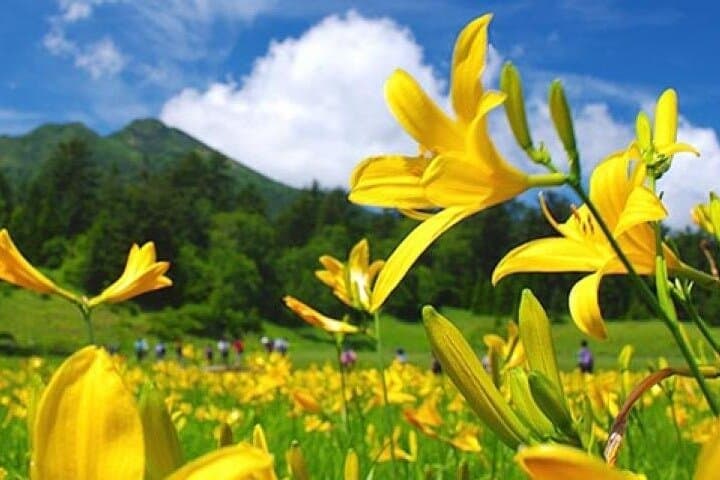 From Tokyo Day Trip Hiking Adventure in Oze National Park — photo 10