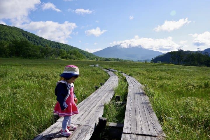 From Tokyo Day Trip Hiking Adventure in Oze National Park — photo 2