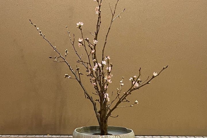 Private 25 Min Machiya Tea and Ikebana Experience — photo 2