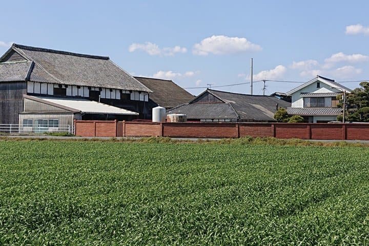 YokaBus Heritage in a Cup of a Yame Tea & Sake Tasting Expedition — photo 20