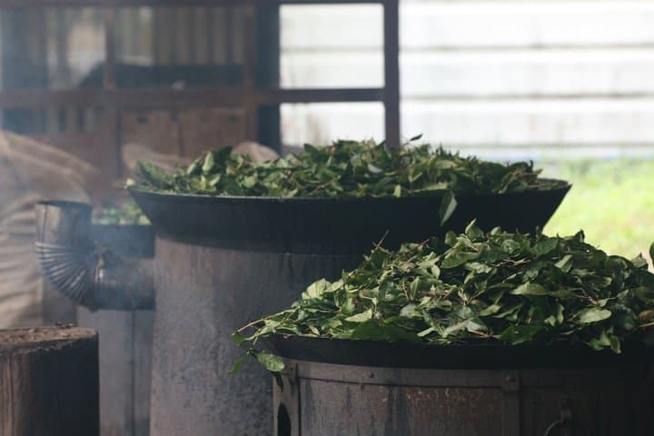 Beyond Matcha: Tokyo Tea Bar Tasting - 7 Teas Near Asakusa — photo 20