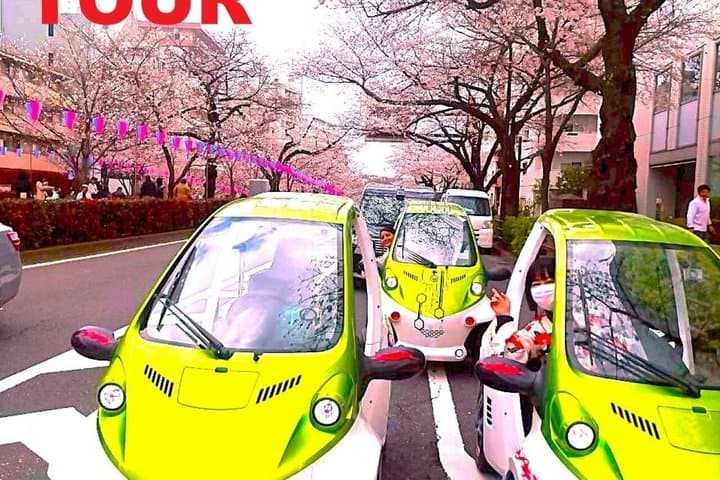Official Tokyo Shibuya : KIMONO Dressed EV-Go Kart Activity Tour — photo 1