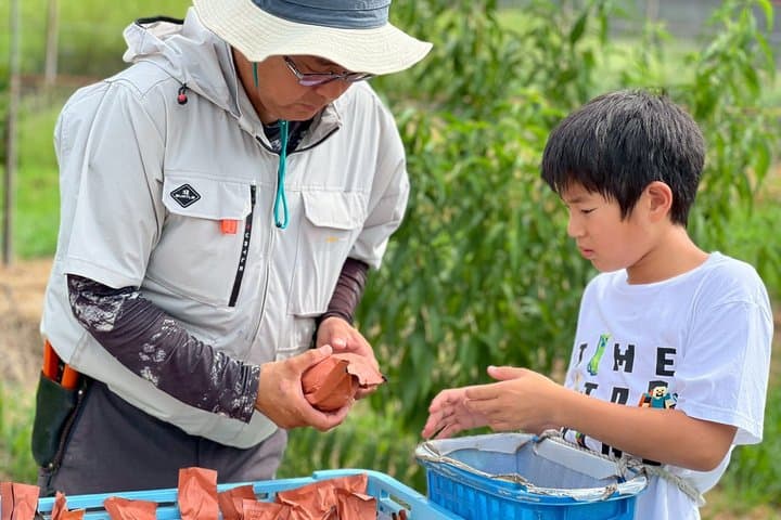Okayama Kurashiki Harvest: 1 Fruit Pick & 3 Souvenirs(60m) — photo 4