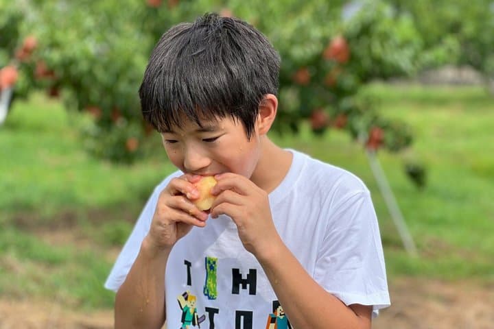 Okayama Kurashiki Harvest: 1 Fruit Pick & 3 Souvenirs(60m) — photo 5