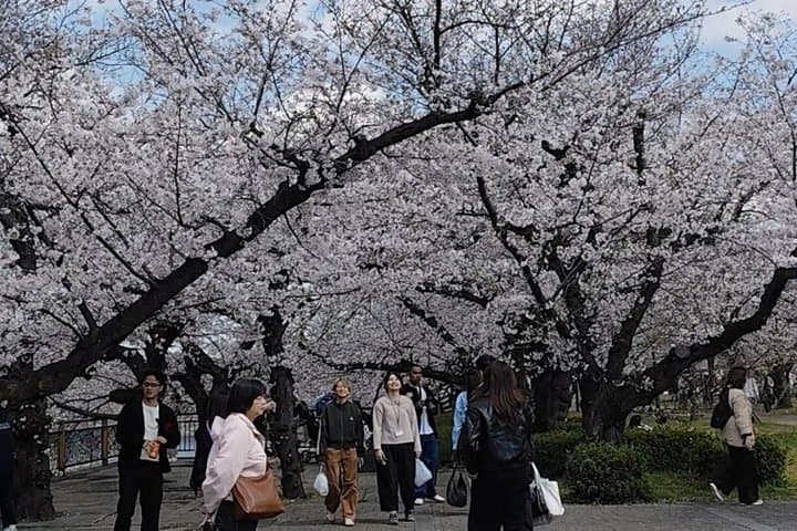 Osaka Highlights Walking Tour – Castle, Shinsekai & Dotonbori — photo 8