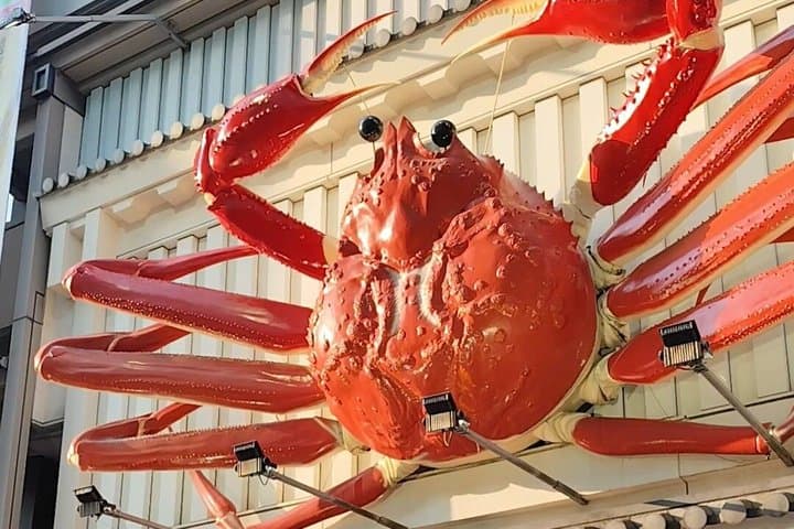 Osaka Highlights Walking Tour – Castle, Shinsekai & Dotonbori — photo 14