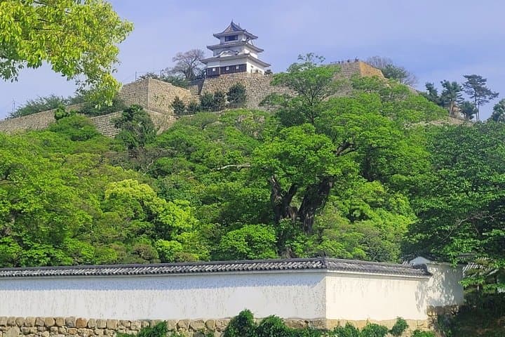 Kagawa: Marugame Castle Tour – Samurai Defense & Strategy — photo 4