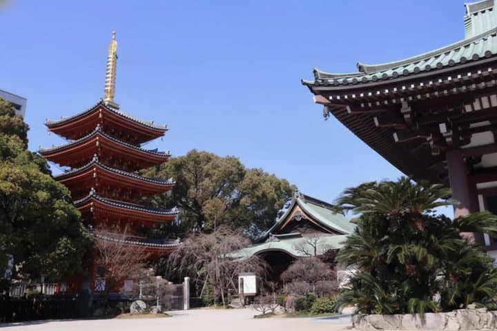 Fukuoka Private Custom Tour with Local Guide — photo 6