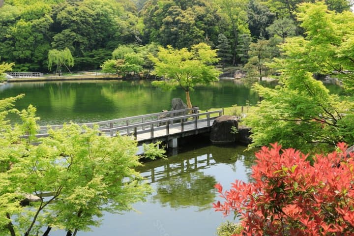 Nagoya Private Custom Tour with Local Guide — photo 3