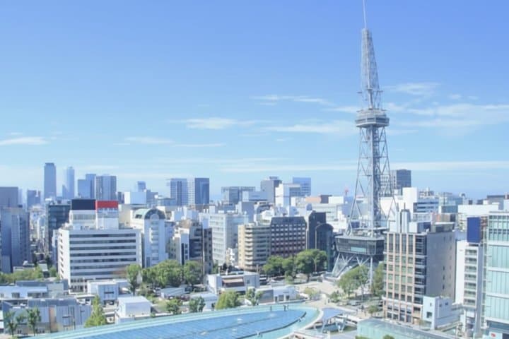 Nagoya Private Custom Tour with Local Guide — photo 6