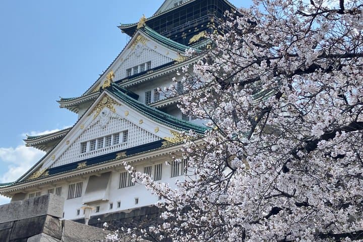 Private Osaka Tour from Your Hotel with Local Guide — photo 18