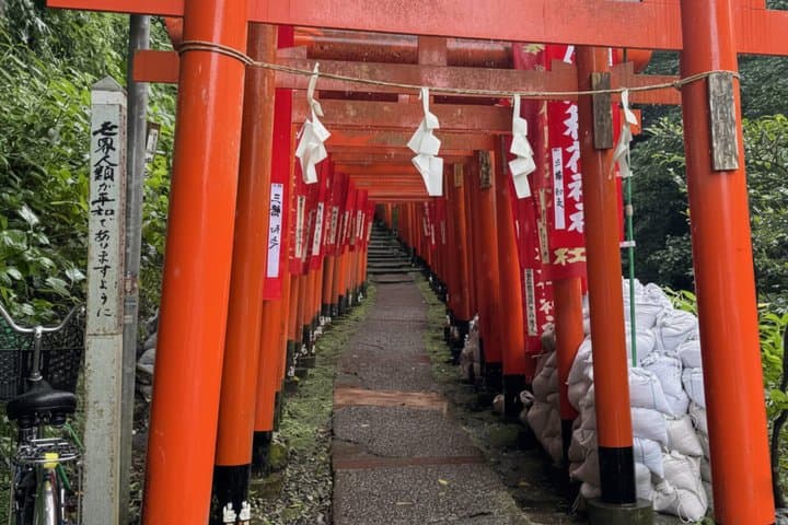 Kamakura Private Custom Tour with Local Guide — photo 7