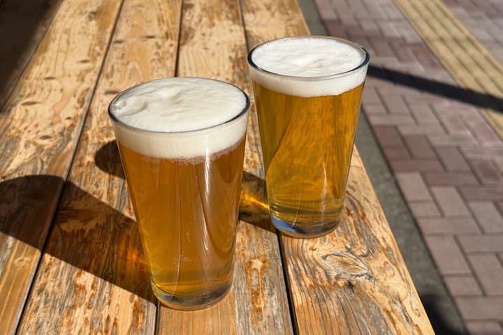 Samurai Guide Sho’s Craft Beer Train Tour by Former JR Conductor — photo 7