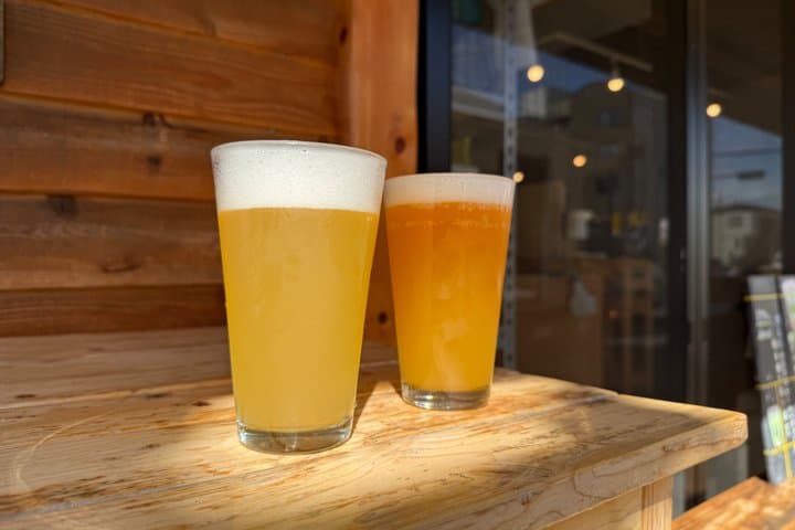 Samurai Guide Sho’s Craft Beer Train Tour by Former JR Conductor — photo 5