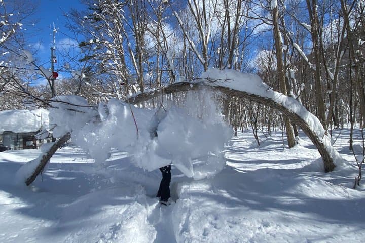 Sapporo Private Sightseeing Tour in Onsen with Special Package — photo 4