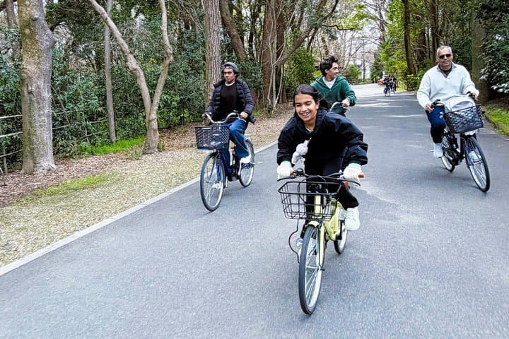 Kyoto E Bike Tour Higashiyama Temples Hidden Alleys — photo 6
