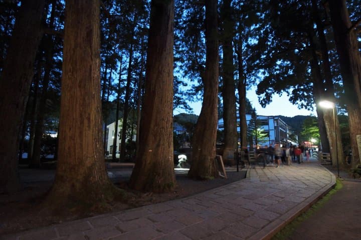 Koyasan Okunoin Night Tour Sacred Pilgrimage Experience — photo 2