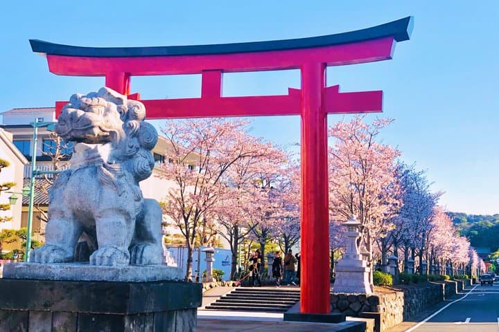 Buddha, Bamboo & Zen - Bespoke Kamakura Private Walking Tours — photo 4