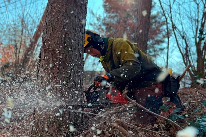 Nagano Omachi Forest Immersion and Artisan Lumberjack Tour — photo 4