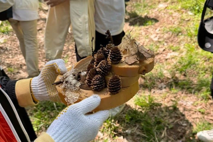 Nagano Omachi Forest Immersion and Artisan Lumberjack Tour — photo 10
