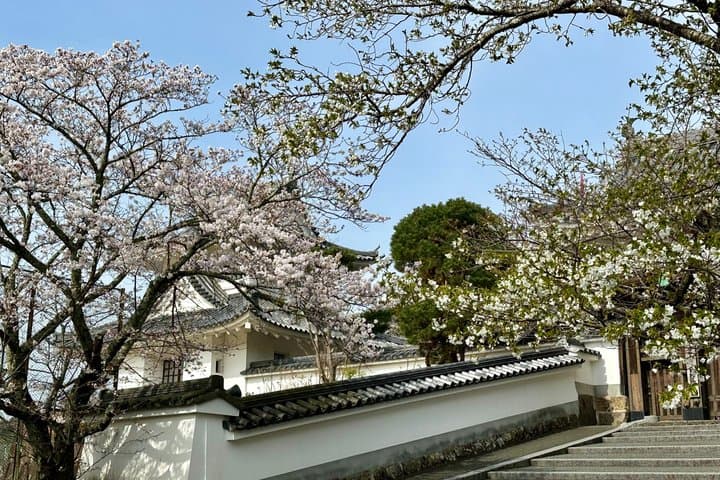 Kyoto Satoyama Cycling with Lunch and English Guide — photo 9