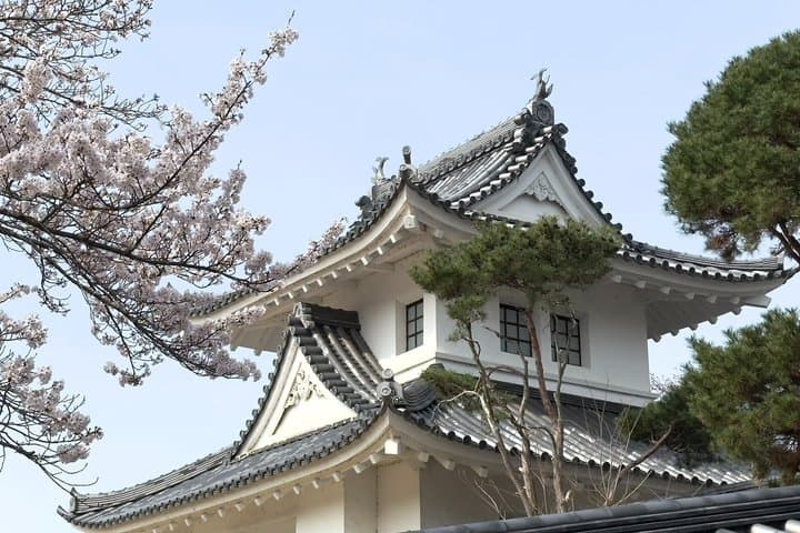 Kyoto Satoyama Cycling with Lunch and English Guide — photo 3
